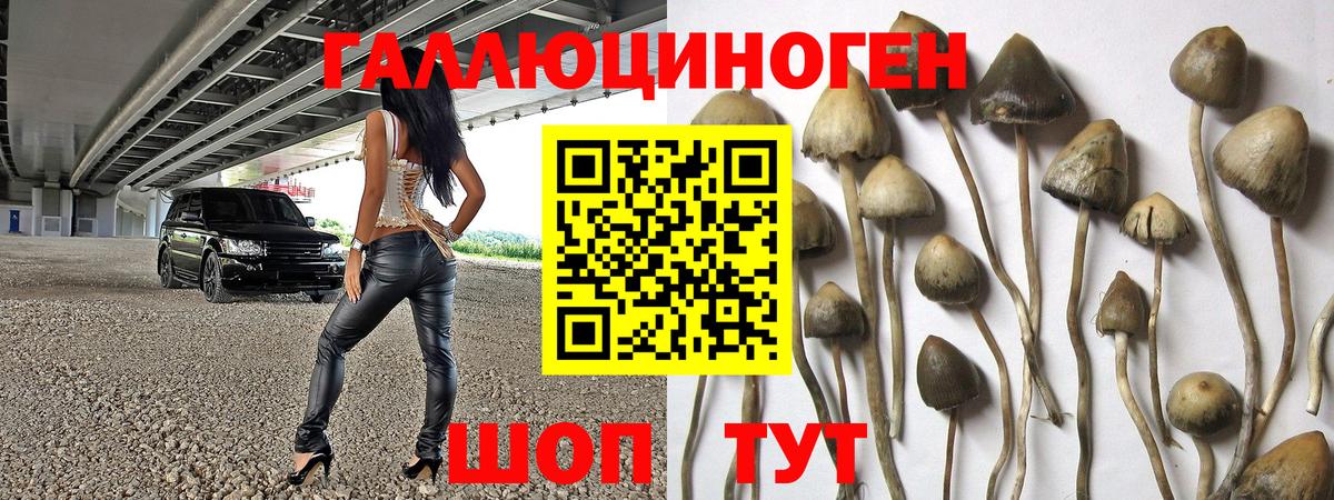 Галлюциногенные грибы Magic Shrooms Можга