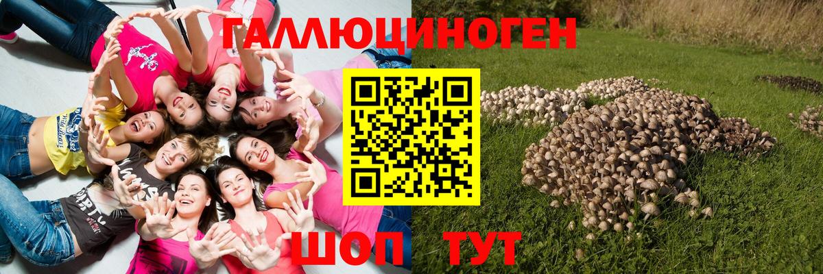 Можга  Галлюциногенные грибы Cubensis  Псилоцибиновые грибы Cubensis  Вход с VPN 